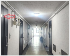  2024Ÿ��93116  ����Ʈ���