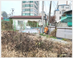  2024Ÿ��96429  �������