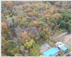  2024Ÿ��96764 ��� ȭ���� ���Ÿ� ȫ���� ��45-1      ����(�Ӿ�)���