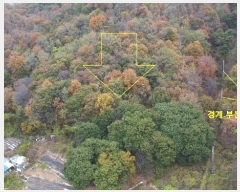  2024Ÿ��96764 ��� ȭ���� ���Ÿ� ȫ���� ��45-1      ����(�Ӿ�)���