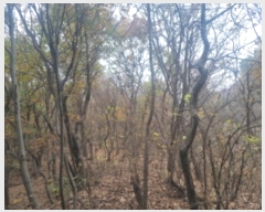  2024Ÿ��96764 ��� ȭ���� ���Ÿ� ȫ���� ��45-1      ����(�Ӿ�)���