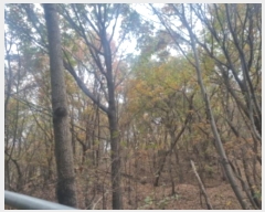  2024Ÿ��96764 ��� ȭ���� ���Ÿ� ȫ���� ��45-1      ����(�Ӿ�)���