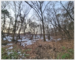  2024Ÿ��98838  �Ӿ߰��