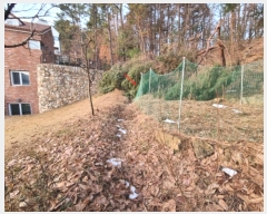  2024Ÿ��98838  �Ӿ߰��