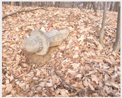  2024Ÿ��98838  �Ӿ߰��