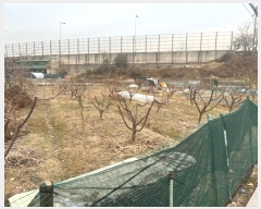  2024Ÿ��99909 ��� ȭ���� ���ȵ� 262-7       ����(��)���