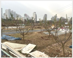  2024Ÿ��99909 ��� ȭ���� ���ȵ� 262-7       ����(��)���