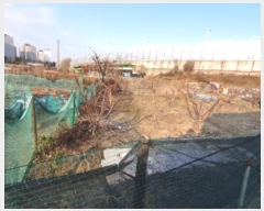  2024Ÿ��99909 ��� ȭ���� ���ȵ� 262-7       ����(��)���