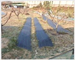  2024Ÿ��99909 ��� ȭ���� ���ȵ� 262-7       ����(��)���