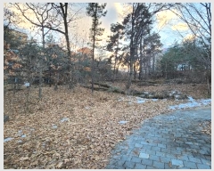  2024Ÿ102393  ν ﱸ  104-1      (Ӿ)