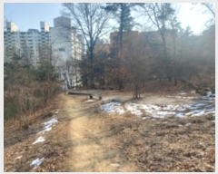  2024Ÿ102393  ν ﱸ  104-1      (Ӿ)