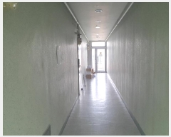  2024Ÿ11121  ν   477, 141408ȣ (ǳõ,ǳõѻ帶ũ)    Ȱð