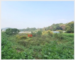  2024Ÿ��87456  ����