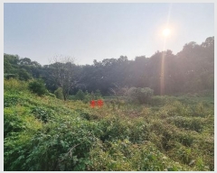  2024Ÿ��87456  ����