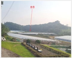  2024Ÿ��87456  ����