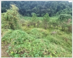  2024Ÿ��87456  ����