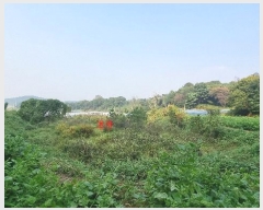  2024Ÿ��87456  ����