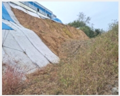  2024Ÿ��90506 ��� ȭ���� ��ź�� ���ٸ� 7-50      ����(�Ӿ�)���