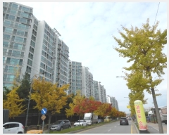  2024Ÿ��93772  ����Ʈ���