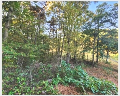  2024Ÿ��94485 ��� ȭ���� ������ ������ ��71-2      ����(�Ӿ�)���