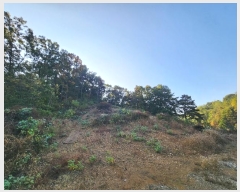  2024Ÿ��94485 ��� ȭ���� ������ ������ ��71-2      ����(�Ӿ�)���