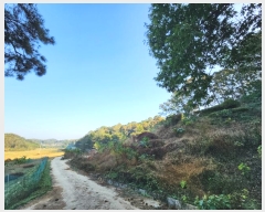  2024Ÿ��94485 ��� ȭ���� ������ ������ ��71-2      ����(�Ӿ�)���