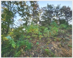  2024Ÿ��94485 ��� ȭ���� ������ ������ ��71-2      ����(�Ӿ�)���