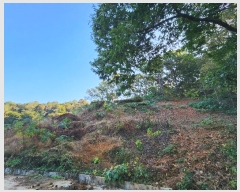  2024Ÿ��94485 ��� ȭ���� ������ ������ ��71-2      ����(�Ӿ�)���