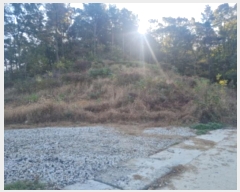  2024Ÿ��94485 ��� ȭ���� ������ ������ ��71-2      ����(�Ӿ�)���