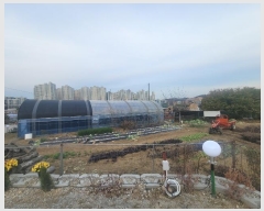  2024Ÿ��96252  �����