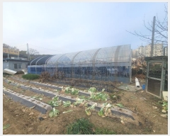  2024Ÿ��96252  �����