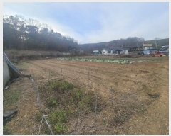  2024Ÿ��96252  �����