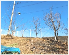  2024Ÿ��100083 ��� ���ν� ó�α� ������ ������ 417-1     ���ð��