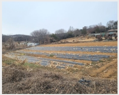  2024Ÿ��103051  �����