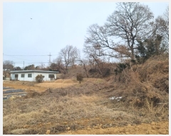  2024Ÿ��103051  �����