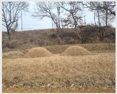  2024Ÿ��103051  �����