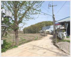  2024Ÿ4239  ȭ  ⸮ 386-4      ()