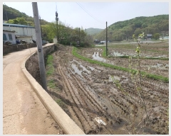  2024Ÿ4239  ȭ  ⸮ 386-4      ()