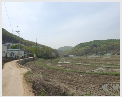  2024Ÿ4239  ȭ  ⸮ 386-4      ()