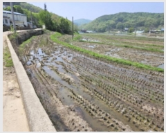  2024Ÿ4239  ȭ  ⸮ 386-4      ()