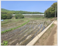  2024Ÿ4239  ȭ  ⸮ 386-4      ()