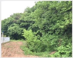  2024Ÿ��4468 ��� ȭ���� ��ź�� ������ ��17      ����(�Ӿ�)���