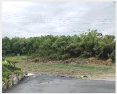  2024Ÿ��4468 ��� ȭ���� ��ź�� ������ ��17      ����(�Ӿ�)���