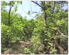  2024Ÿ��4468 ��� ȭ���� ��ź�� ������ ��17      ����(�Ӿ�)���