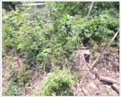  2024Ÿ��4468 ��� ȭ���� ��ź�� ������ ��17      ����(�Ӿ�)���