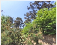  2024Ÿ��4468 ��� ȭ���� ��ź�� ������ ��17      ����(�Ӿ�)���