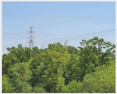  2024Ÿ��4468 ��� ȭ���� ��ź�� ������ ��17      ����(�Ӿ�)���