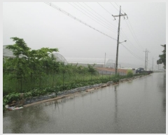  2024Ÿ��4888  ����