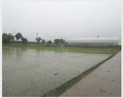  2024Ÿ��4888  ����