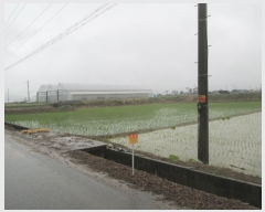  2024Ÿ��4888  ����